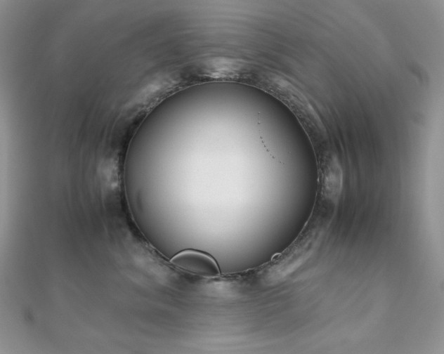 X0000112530620200908171422