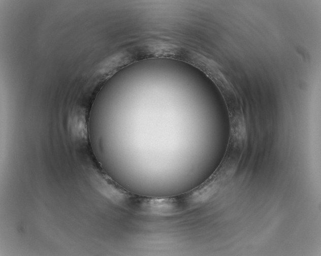 X0000112530622200908171422