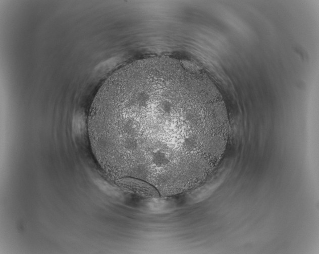 X0000112530623200908171422