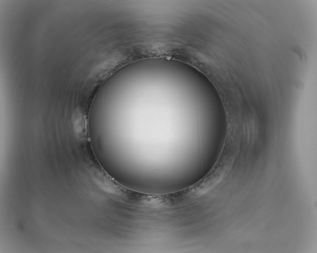 X0000112530624200908171422