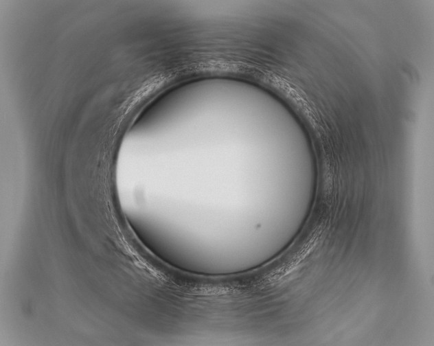 X0000112530625200908171421