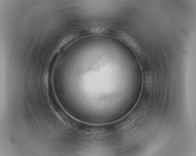 X0000112530626200908171421