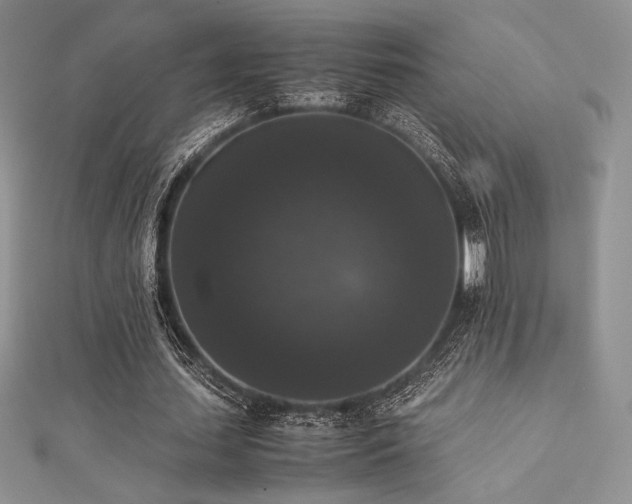 X0000112530627200908171421