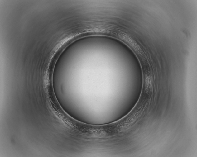 X0000112530628200908171421