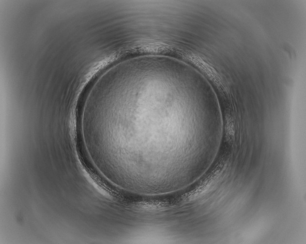 X0000112530630200908171421