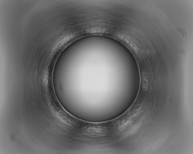 X0000112530631200908171421