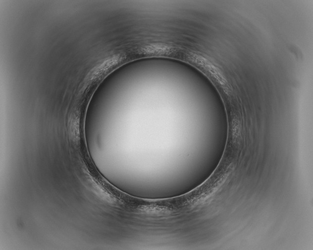 X0000112530633200908171421