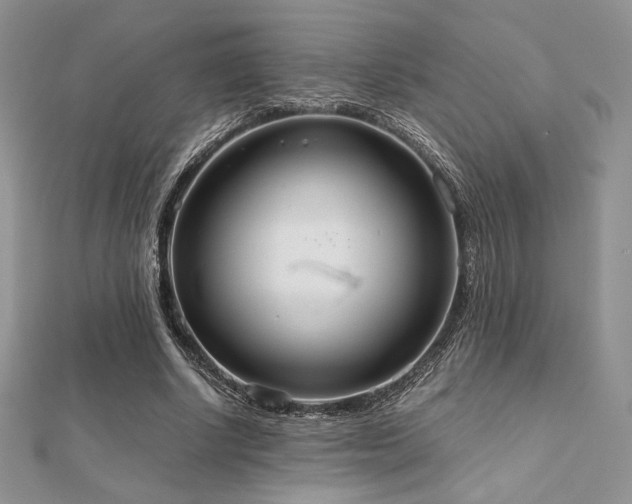 X0000112530634200908171421