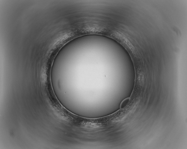 X0000112530635200908171421