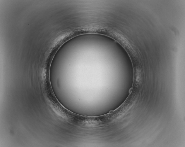 X0000112530636200908171421