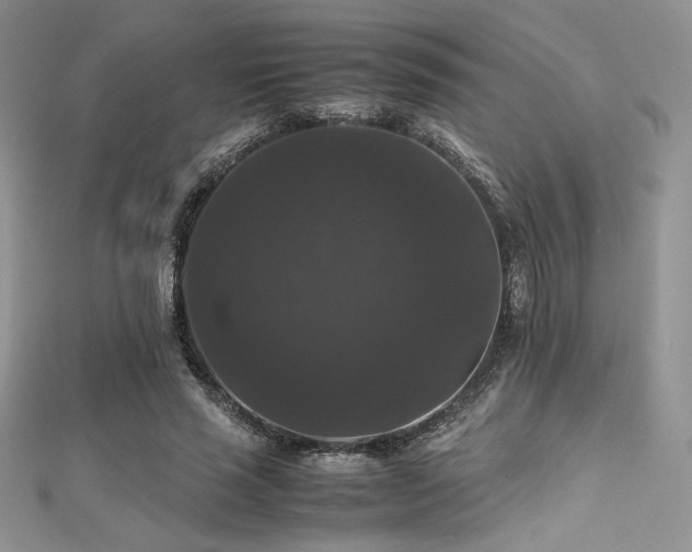 X0000112530637200908171421