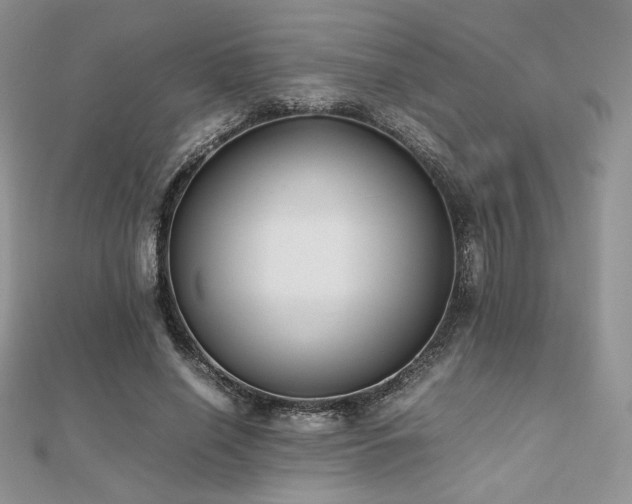 X0000112530638200908171421