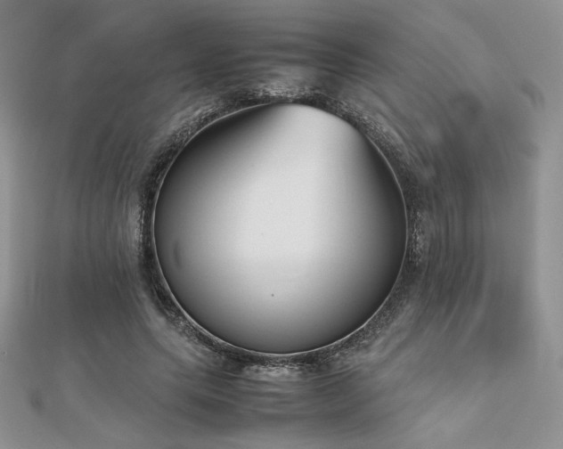 X0000112530639200908171421