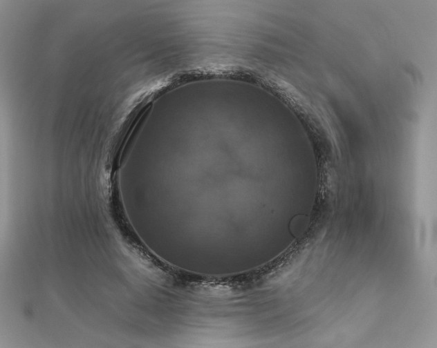 X0000112530640200908171421