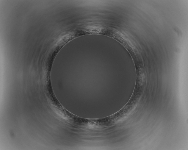 X0000112530641200908171421