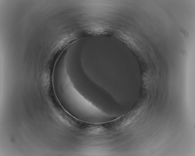 X0000112530642200908171421