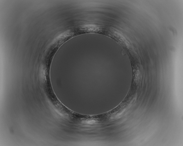 X0000112530643200908171421