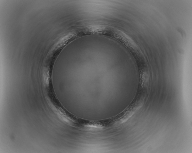 X0000112530644200908171421