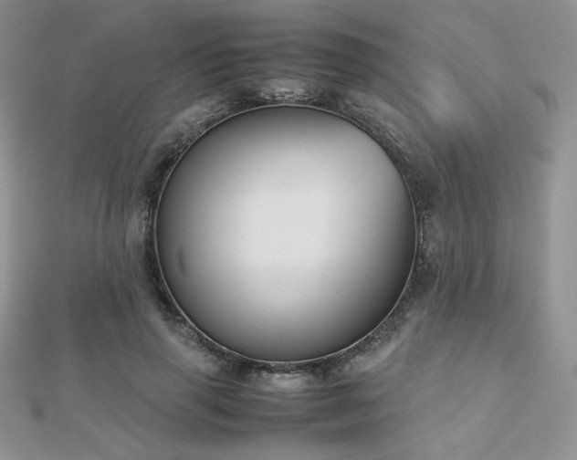 X0000112530645200908171421