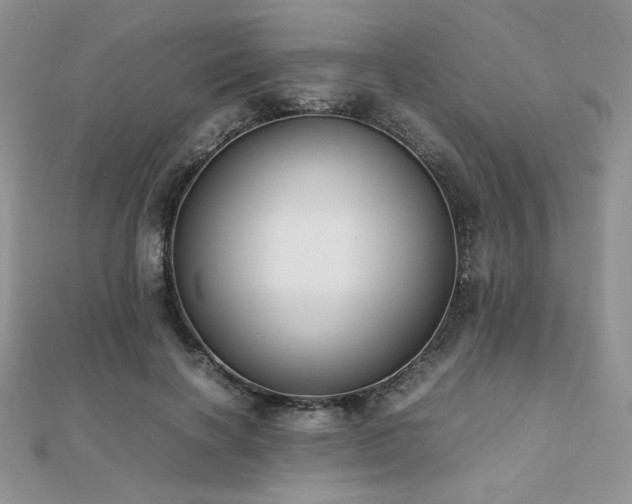 X0000112530646200908171422