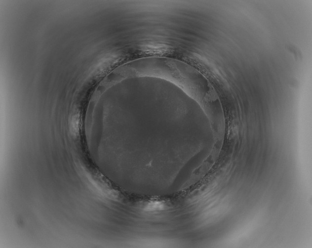 X0000112530647200908171422