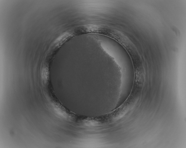 X0000112530648200908171422