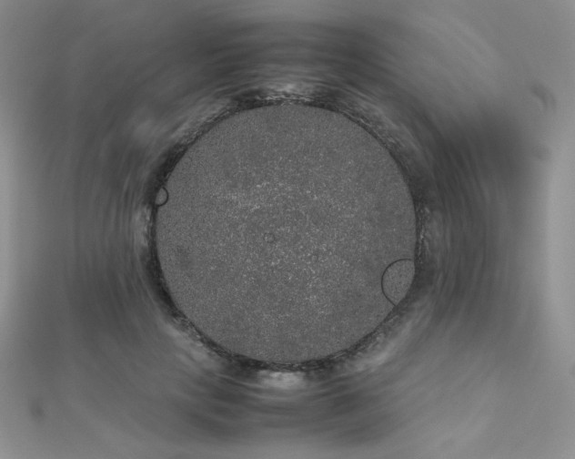 X0000112530649200908171422