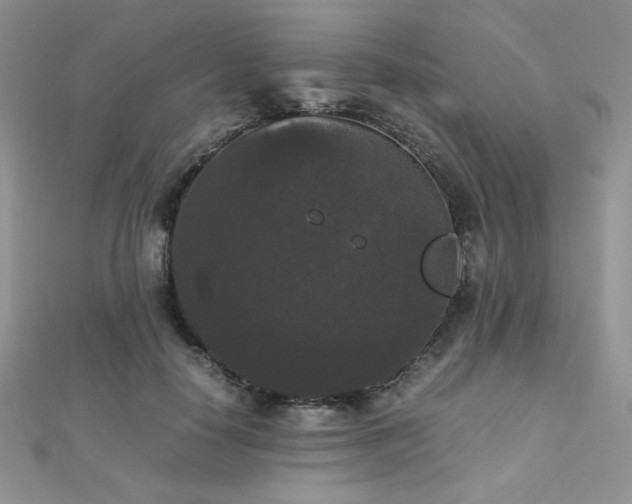 X0000112530650200908171422