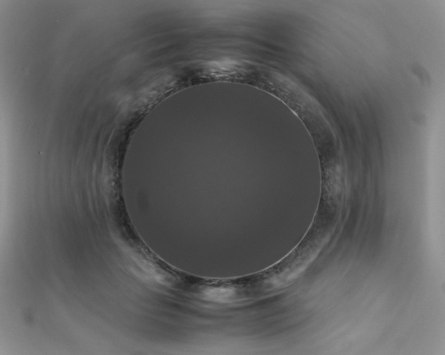 X0000112530653200908171422