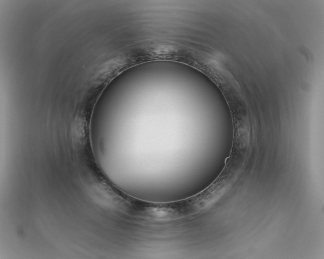 X0000112530654200908171422