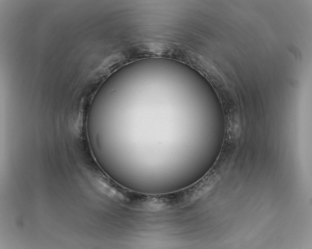 X0000112530656200908171422