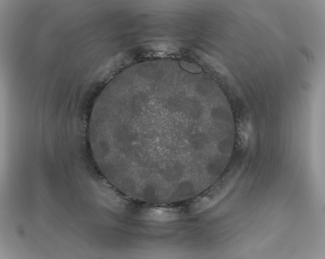 X0000112530657200908171422