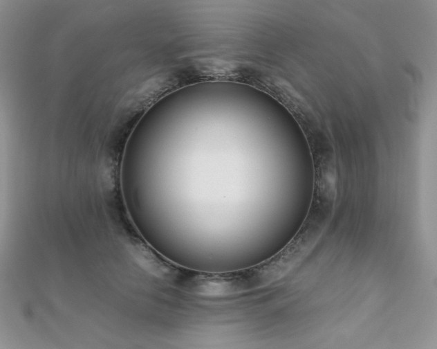 X0000112530658200908171422