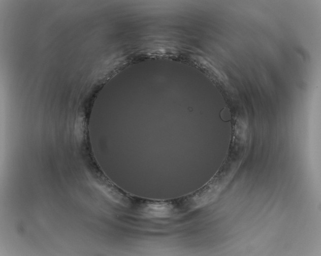 X0000112530659200908171422