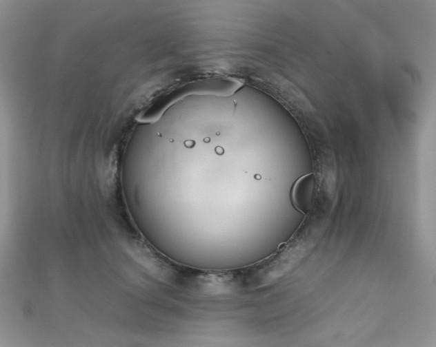 X0000112530660200908171422