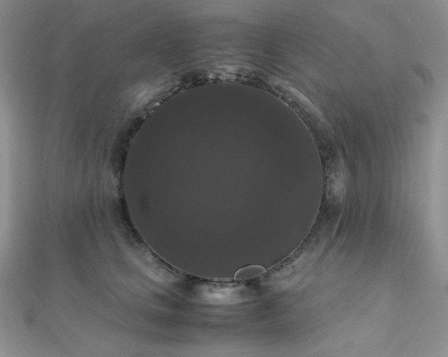 X0000112530661200908171422