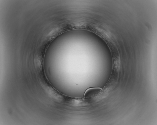 X0000112530662200908171422