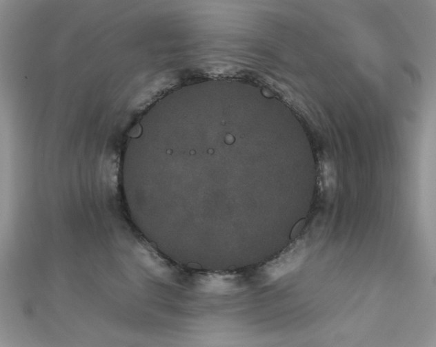 X0000112530664200908171422