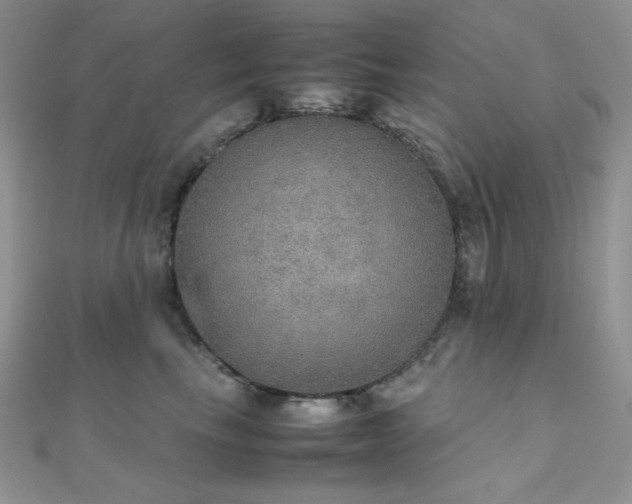 X0000112530665200908171422