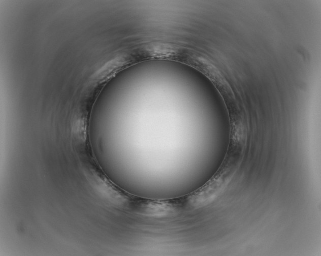 X0000112530666200908171422