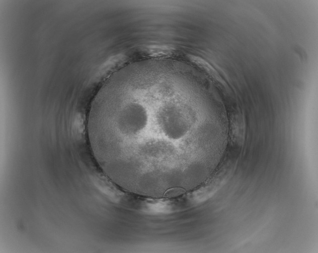 X0000112530667200908171422