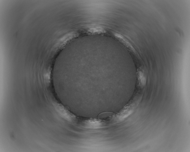 X0000112530668200908171422