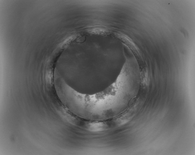X0000112530669200908171422