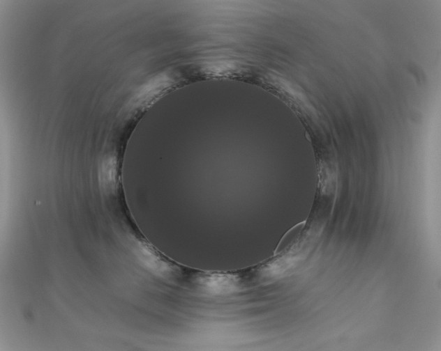 X0000112530670200908171422