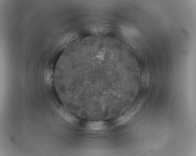 X0000112530671200908171422
