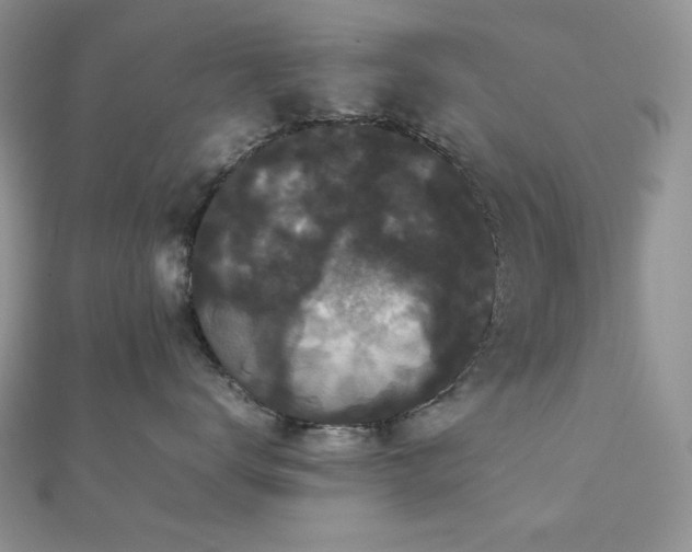 X0000112530672200908171422