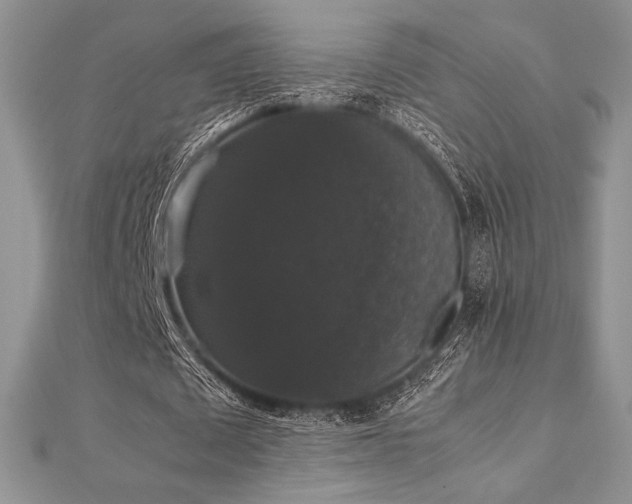 X0000112530673200908171421