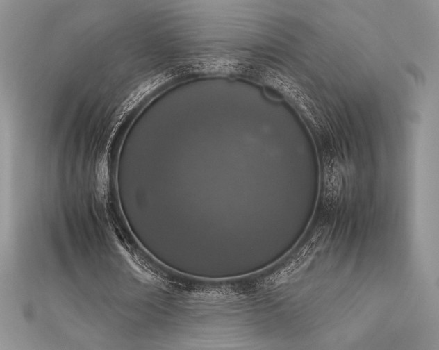X0000112530674200908171421