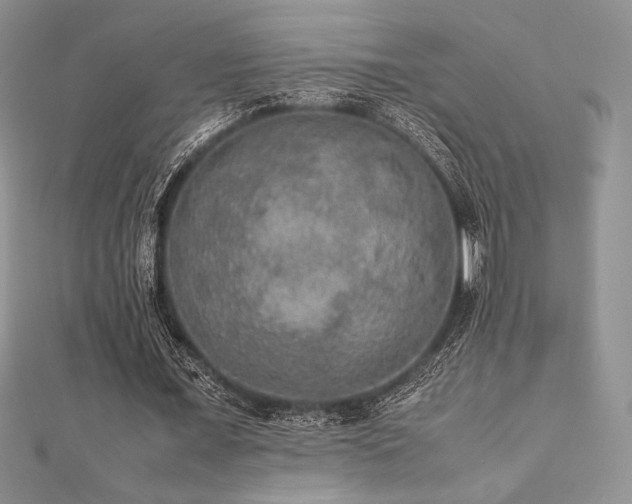 X0000112530675200908171421