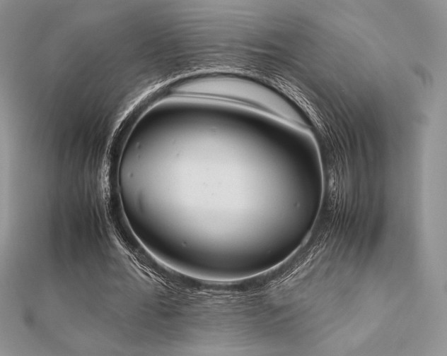 X0000112530676200908171421
